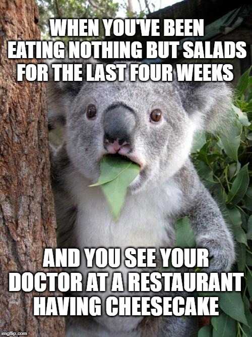 Surprised Koala Meme | WHEN YOU'VE BEEN EATING NOTHING BUT SALADS FOR THE LAST FOUR WEEKS; AND YOU SEE YOUR DOCTOR AT A RESTAURANT HAVING CHEESECAKE | image tagged in memes,surprised koala | made w/ Imgflip meme maker