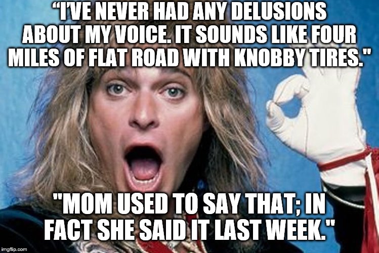 David Lee Roth | “I’VE NEVER HAD ANY DELUSIONS ABOUT MY VOICE. IT SOUNDS LIKE FOUR MILES OF FLAT ROAD WITH KNOBBY TIRES."; "MOM USED TO SAY THAT; IN FACT SHE SAID IT LAST WEEK." | image tagged in david lee roth | made w/ Imgflip meme maker