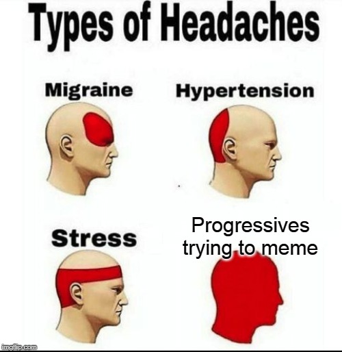 Types of Headaches meme | Progressives trying to meme | image tagged in types of headaches meme | made w/ Imgflip meme maker