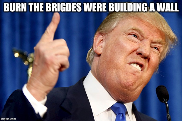 Donald Trump | BURN THE BRIDGES WERE BUILDING A WALL | image tagged in donald trump | made w/ Imgflip meme maker