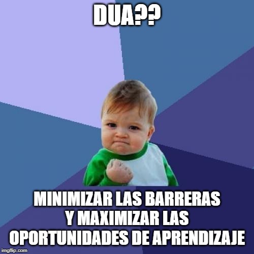 Success Kid Meme | DUA?? MINIMIZAR LAS BARRERAS Y MAXIMIZAR LAS OPORTUNIDADES DE APRENDIZAJE | image tagged in memes,success kid | made w/ Imgflip meme maker