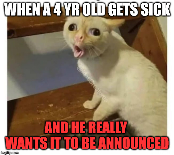 Coughing Cat | WHEN A 4 YR OLD GETS SICK; AND HE REALLY  WANTS IT TO BE ANNOUNCED | image tagged in coughing cat | made w/ Imgflip meme maker