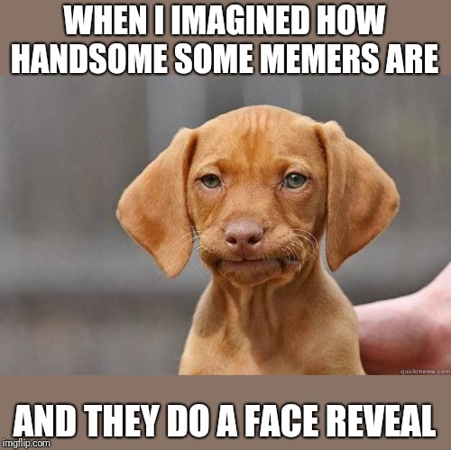 Anyone else disappointed when guys do a reveal and they look nothing like you imagined? | WHEN I IMAGINED HOW HANDSOME SOME MEMERS ARE; AND THEY DO A FACE REVEAL | image tagged in disapointed dog,lordcheesus,jeroen brooks | made w/ Imgflip meme maker