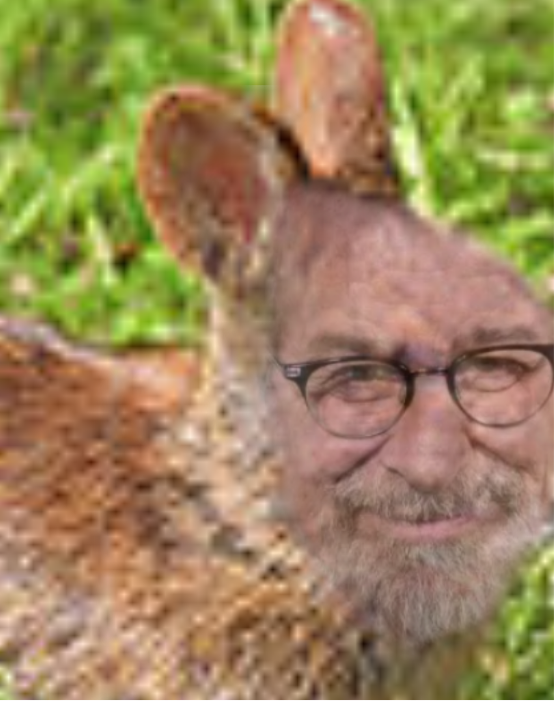 High Quality Stephen Spielberg Bunny Blank Meme Template