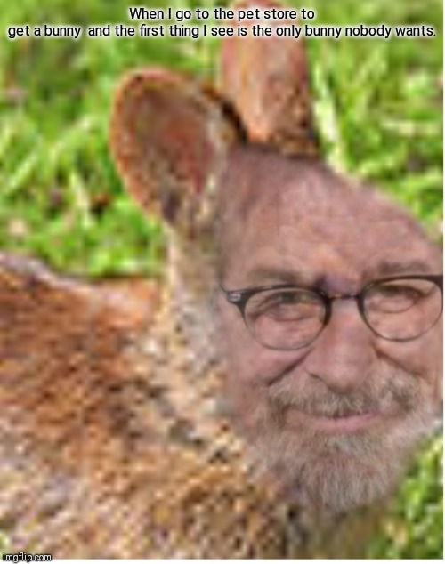 Stephen Spielberg Bunny | When I go to the pet store to get a bunny  and the first thing I see is the only bunny nobody wants. | image tagged in stephen spielberg bunny | made w/ Imgflip meme maker