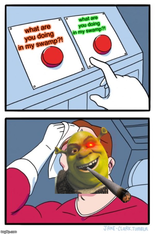 Two Buttons Meme | what are you doing in my swamp?! what are you doing in my swamp?! | image tagged in memes,two buttons | made w/ Imgflip meme maker