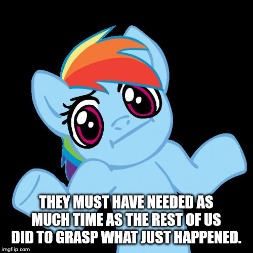 Pony Shrugs Meme | THEY MUST HAVE NEEDED AS MUCH TIME AS THE REST OF US DID TO GRASP WHAT JUST HAPPENED. | image tagged in memes,pony shrugs | made w/ Imgflip meme maker