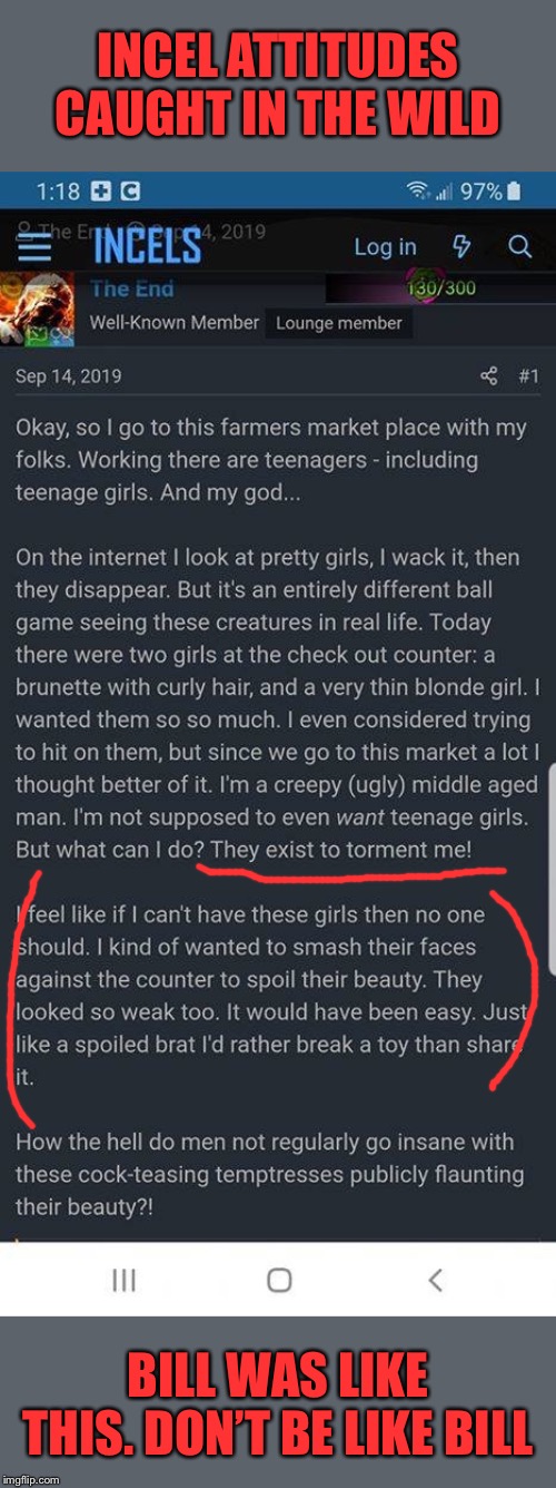 Girls who look pretty in public do not “exist to torment you.” They just exist. Highlighted part is wayyy not okay | INCEL ATTITUDES CAUGHT IN THE WILD; BILL WAS LIKE THIS. DON’T BE LIKE BILL | image tagged in girls,red pill,misogyny,we don't do that here,yikes,grossed out | made w/ Imgflip meme maker