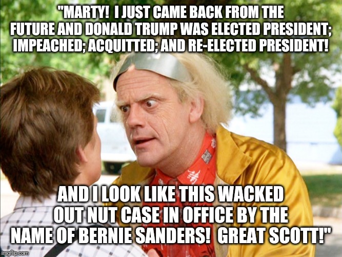 "Back To The Future 4!" | "MARTY!  I JUST CAME BACK FROM THE FUTURE AND DONALD TRUMP WAS ELECTED PRESIDENT; IMPEACHED; ACQUITTED; AND RE-ELECTED PRESIDENT! AND I LOOK LIKE THIS WACKED OUT NUT CASE IN OFFICE BY THE NAME OF BERNIE SANDERS!  GREAT SCOTT!" | image tagged in back to the future,bernie sanders,donald trump | made w/ Imgflip meme maker