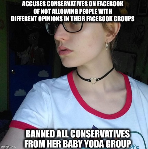 Facebook leftist | ACCUSES CONSERVATIVES ON FACEBOOK OF NOT ALLOWING PEOPLE WITH DIFFERENT OPINIONS IN THEIR FACEBOOK GROUPS; BANNED ALL CONSERVATIVES FROM HER BABY YODA GROUP | image tagged in facebook leftist,liberal logic,liberal hypocrisy,goofy stupid liberal college student | made w/ Imgflip meme maker