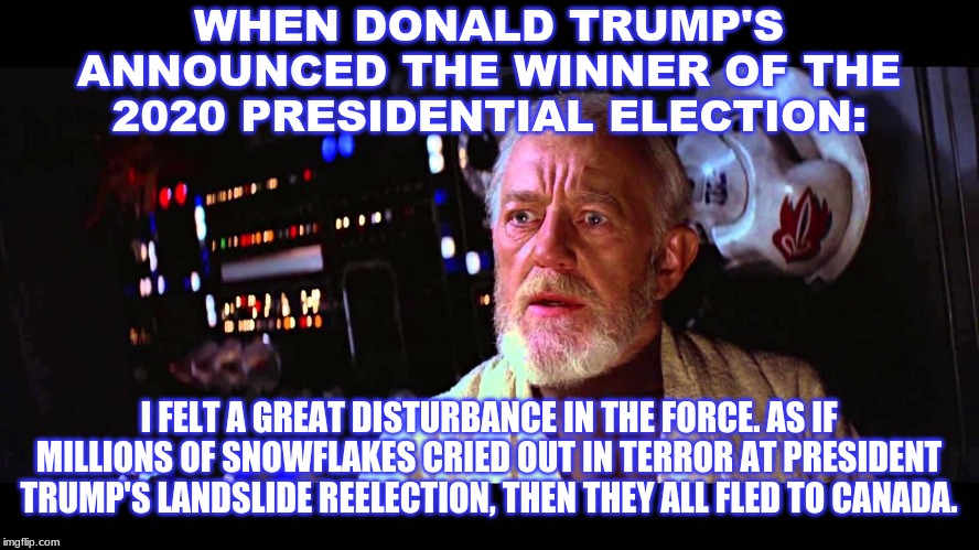 It is inevitable. It IS Trump's DESTINY! | WHEN DONALD TRUMP'S ANNOUNCED THE WINNER OF THE 2020 PRESIDENTIAL ELECTION:; I FELT A GREAT DISTURBANCE IN THE FORCE. AS IF MILLIONS OF SNOWFLAKES CRIED OUT IN TERROR AT PRESIDENT TRUMP'S LANDSLIDE REELECTION, THEN THEY ALL FLED TO CANADA. | image tagged in 2020 elections,trump 2020,political,politics | made w/ Imgflip meme maker