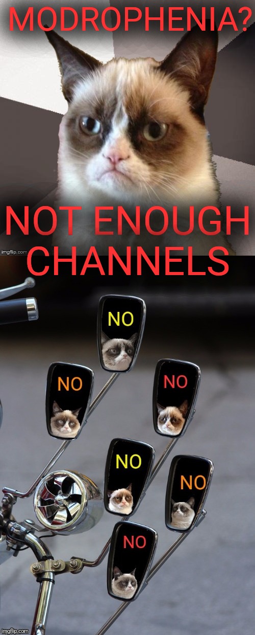 MODROPHENIA? NOT ENOUGH CHANNELS | image tagged in musically malicious grumpy cat | made w/ Imgflip meme maker