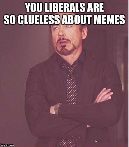 Face You Make Robert Downey Jr Meme | YOU LIBERALS ARE SO CLUELESS ABOUT MEMES | image tagged in memes,face you make robert downey jr | made w/ Imgflip meme maker