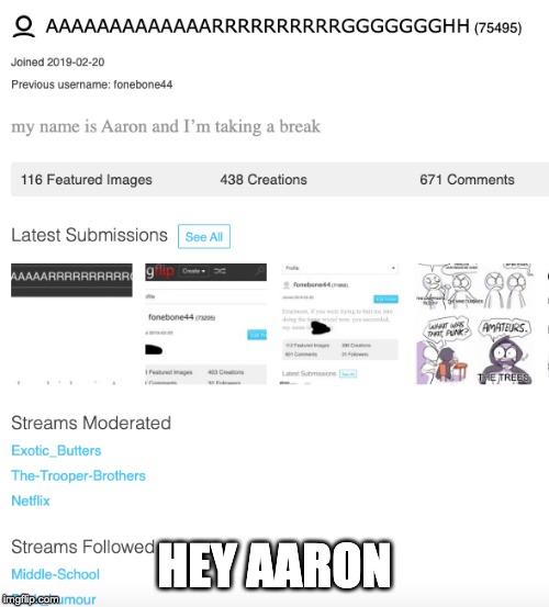 HEY AARON | image tagged in aaron | made w/ Imgflip meme maker