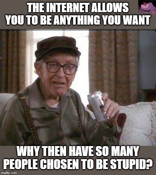 In some cases it may not be a choice. | THE INTERNET ALLOWS YOU TO BE ANYTHING YOU WANT; WHY THEN HAVE SO MANY PEOPLE CHOSEN TO BE STUPID? | image tagged in grumpy old man | made w/ Imgflip meme maker