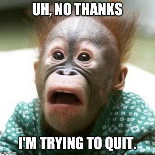 Shocked Monkey | UH, NO THANKS; I'M TRYING TO QUIT. | image tagged in shocked monkey | made w/ Imgflip meme maker