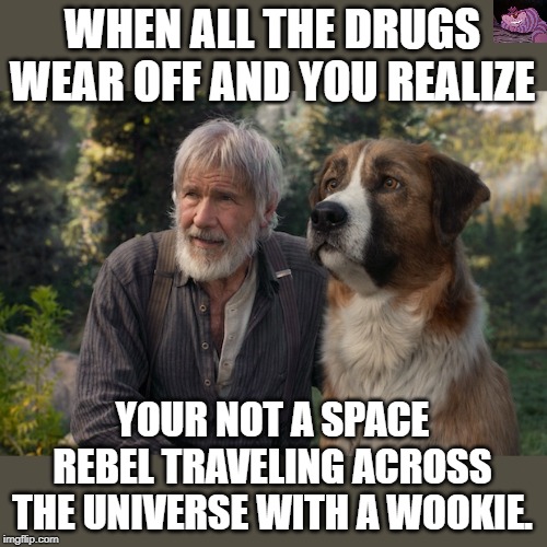 Reality sucks | WHEN ALL THE DRUGS WEAR OFF AND YOU REALIZE; YOUR NOT A SPACE REBEL TRAVELING ACROSS THE UNIVERSE WITH A WOOKIE. | image tagged in call of the wild | made w/ Imgflip meme maker
