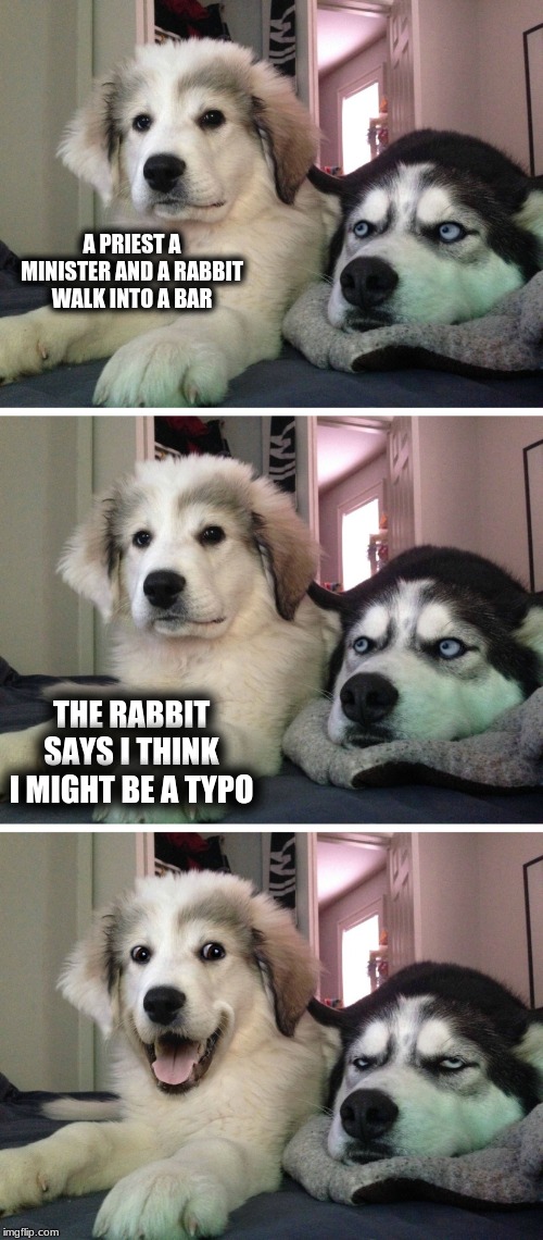 Bad pun dogs | A PRIEST A MINISTER AND A RABBIT WALK INTO A BAR; THE RABBIT SAYS I THINK I MIGHT BE A TYPO | image tagged in bad pun dogs | made w/ Imgflip meme maker