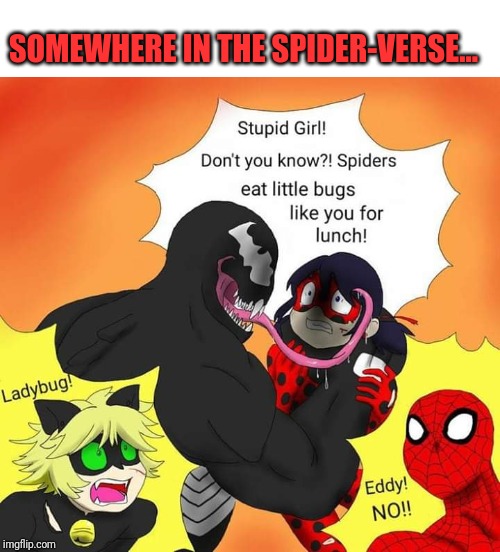 EDDY! NO! | SOMEWHERE IN THE SPIDER-VERSE... | image tagged in blank white template,spider-verse meme,funny,funny meme,funny memes,brimmuthafukinstone | made w/ Imgflip meme maker