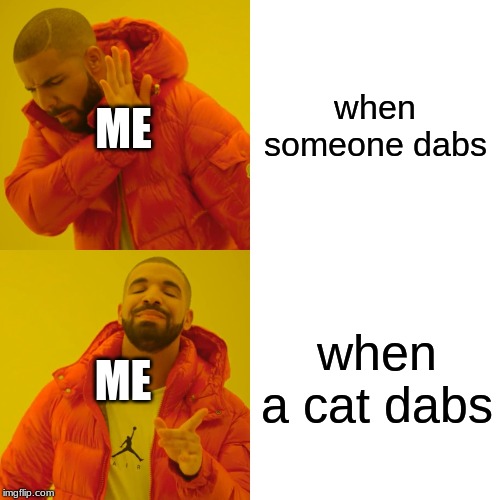 Drake Hotline Bling Meme | when someone dabs; ME; when a cat dabs; ME | image tagged in memes,drake hotline bling | made w/ Imgflip meme maker