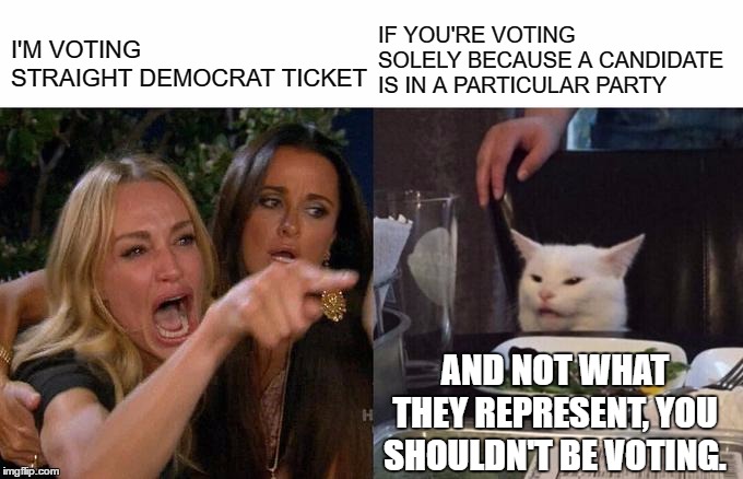 Woman Yelling At Cat Meme | I'M VOTING STRAIGHT DEMOCRAT TICKET; IF YOU'RE VOTING SOLELY BECAUSE A CANDIDATE IS IN A PARTICULAR PARTY; AND NOT WHAT THEY REPRESENT, YOU SHOULDN'T BE VOTING. | image tagged in memes,woman yelling at cat,random,democrats,republicans,independent | made w/ Imgflip meme maker