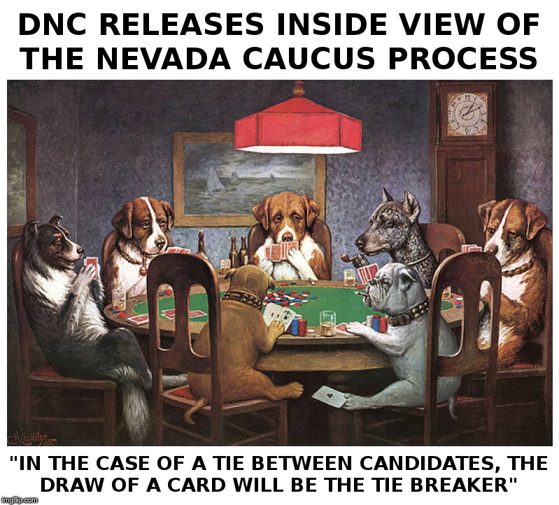 DNC Releases Inside View of the Nevada Caucus Process | image tagged in dnc,nevada,caucus,democrats,dogs playing poker,presidential race | made w/ Imgflip meme maker