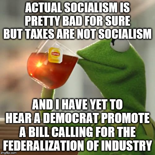 But That's None Of My Business | ACTUAL SOCIALISM IS PRETTY BAD FOR SURE BUT TAXES ARE NOT SOCIALISM; AND I HAVE YET TO HEAR A DEMOCRAT PROMOTE A BILL CALLING FOR THE FEDERALIZATION OF INDUSTRY | image tagged in memes,but thats none of my business,kermit the frog | made w/ Imgflip meme maker