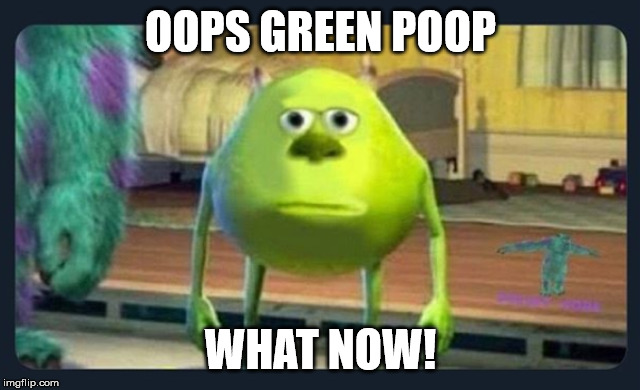 awareness | OOPS GREEN POOP; WHAT NOW! | image tagged in funny memes | made w/ Imgflip meme maker