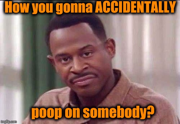 scowl | How you gonna ACCIDENTALLY poop on somebody? | image tagged in scowl | made w/ Imgflip meme maker