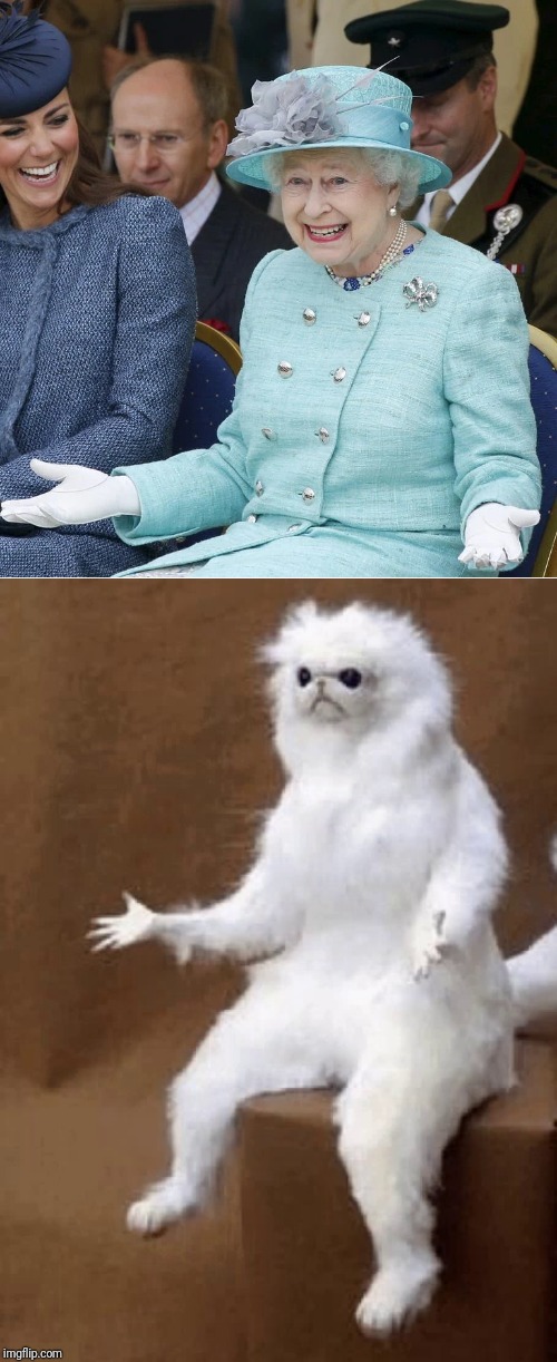 Queen Elizabeth WTF Monkey Cat | image tagged in funny | made w/ Imgflip meme maker