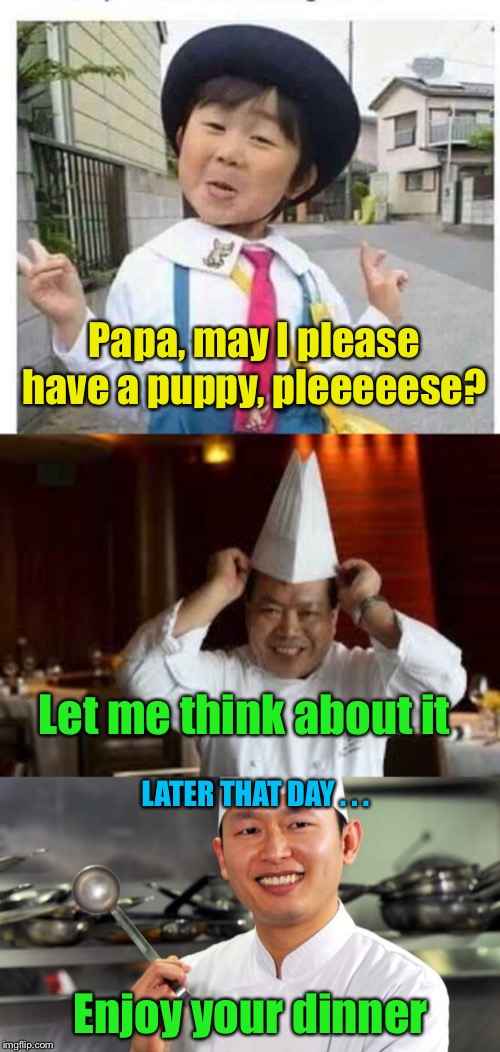 Why Asian kids don’t have pets | Papa, may I please have a puppy, pleeeeese? Let me think about it; LATER THAT DAY . . . Enjoy your dinner | image tagged in chinese cheff,chinese girl,chinese chef | made w/ Imgflip meme maker