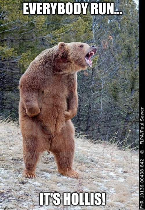 Angry bear | EVERYBODY RUN... IT'S HOLLIS! | image tagged in angry bear | made w/ Imgflip meme maker