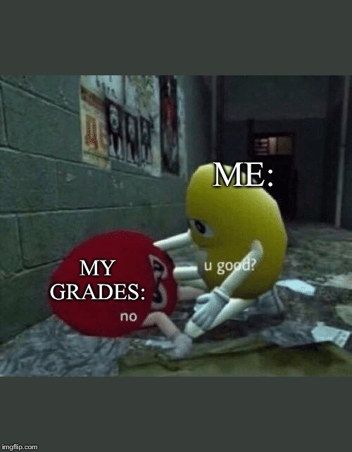 You good? | ME:; MY GRADES: | image tagged in you good | made w/ Imgflip meme maker