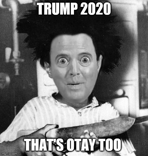 Trump 2020 | TRUMP 2020; THAT'S OTAY TOO | image tagged in trump 2020,adam schiff,buckwheat | made w/ Imgflip meme maker