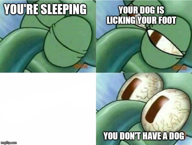 Squidward eyes | YOUR DOG IS LICKING YOUR FOOT; YOU'RE SLEEPING; YOU DON'T HAVE A DOG | image tagged in squidward eyes | made w/ Imgflip meme maker