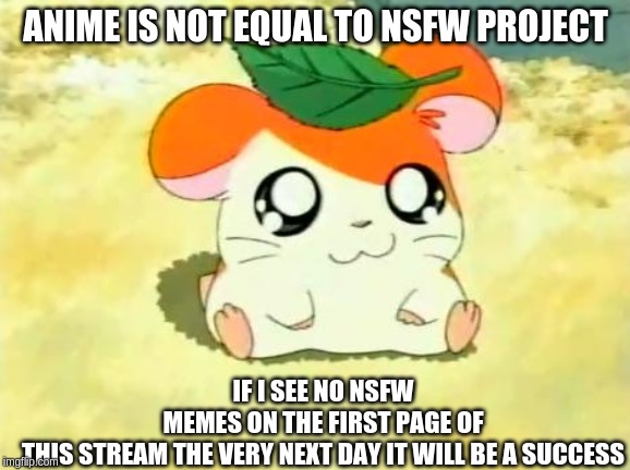 Hamtaro Meme | ANIME IS NOT EQUAL TO NSFW PROJECT; IF I SEE NO NSFW MEMES ON THE FIRST PAGE OF THIS STREAM THE VERY NEXT DAY IT WILL BE A SUCCESS | image tagged in memes,hamtaro | made w/ Imgflip meme maker