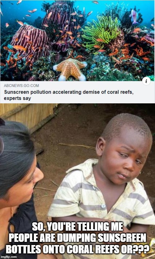 Dilution Much? | SO, YOU'RE TELLING ME PEOPLE ARE DUMPING SUNSCREEN BOTTLES ONTO CORAL REEFS OR??? | image tagged in memes,third world skeptical kid | made w/ Imgflip meme maker