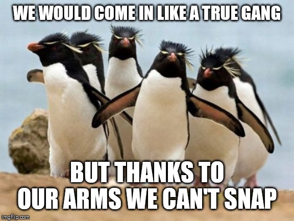 Penguin Gang | WE WOULD COME IN LIKE A TRUE GANG; BUT THANKS TO OUR ARMS WE CAN'T SNAP | image tagged in memes,penguin gang | made w/ Imgflip meme maker