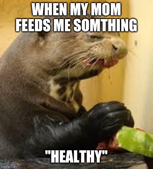 Disgusted Otter |  WHEN MY MOM FEEDS ME SOMTHING; "HEALTHY" | image tagged in disgusted otter | made w/ Imgflip meme maker