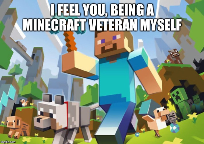 Minecraft  | I FEEL YOU, BEING A MINECRAFT VETERAN MYSELF | image tagged in minecraft | made w/ Imgflip meme maker