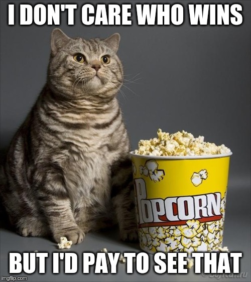 Cat eating popcorn | I DON'T CARE WHO WINS BUT I'D PAY TO SEE THAT | image tagged in cat eating popcorn | made w/ Imgflip meme maker