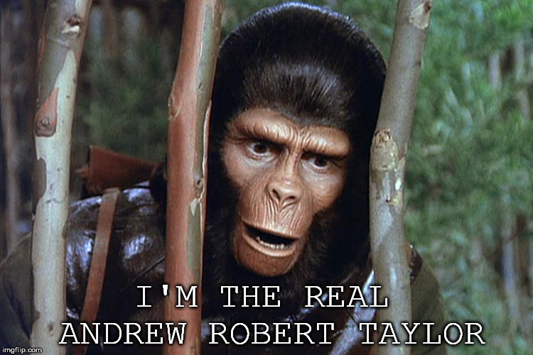 Andrew Taylor | I'M THE REAL 
ANDREW ROBERT TAYLOR | image tagged in andrew taylor,gorilla,animal,planet of the apes | made w/ Imgflip meme maker