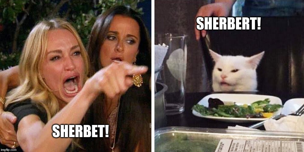 Smudge the cat | SHERBERT! SHERBET! | image tagged in smudge the cat | made w/ Imgflip meme maker