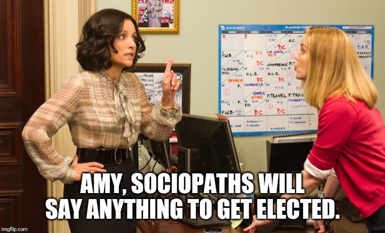 Veep | AMY, SOCIOPATHS WILL SAY ANYTHING TO GET ELECTED. | image tagged in veep | made w/ Imgflip meme maker