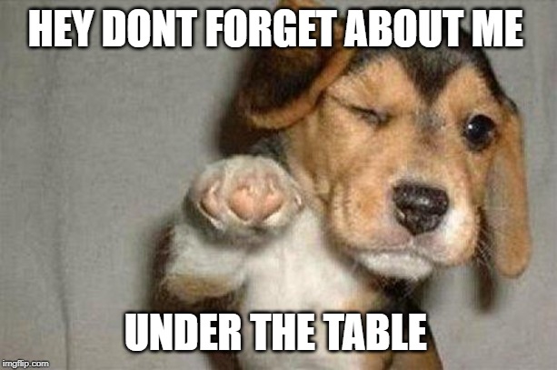Awesome Dog | HEY DONT FORGET ABOUT ME UNDER THE TABLE | image tagged in awesome dog | made w/ Imgflip meme maker