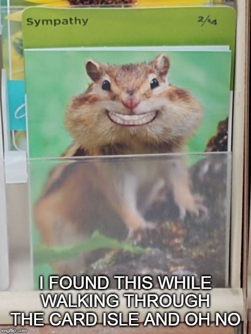 I FOUND THIS WHILE WALKING THROUGH THE CARD ISLE AND OH NO | image tagged in cards,sympathy,hamster | made w/ Imgflip meme maker