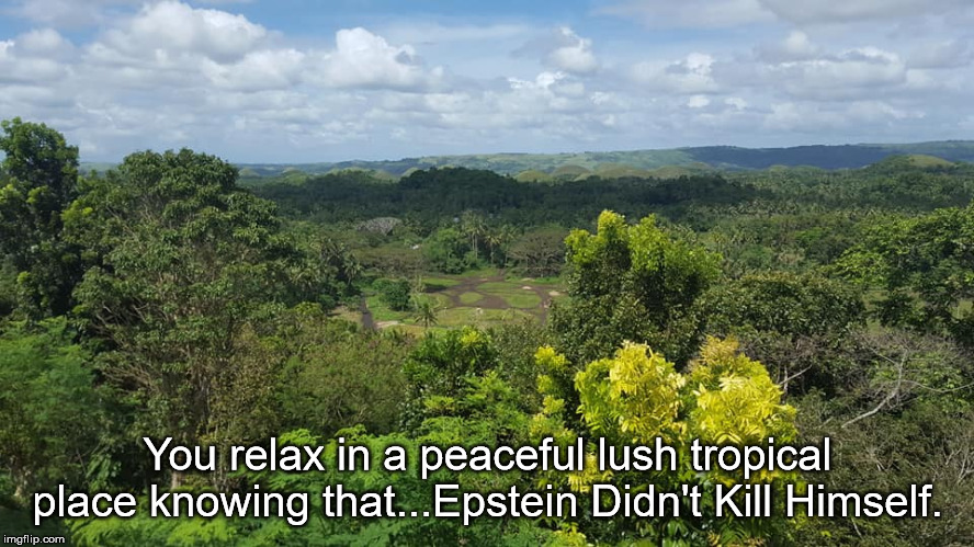 There is no escape with the knowledge. | You relax in a peaceful lush tropical place knowing that...Epstein Didn't Kill Himself. | image tagged in jeffrey epstein | made w/ Imgflip meme maker