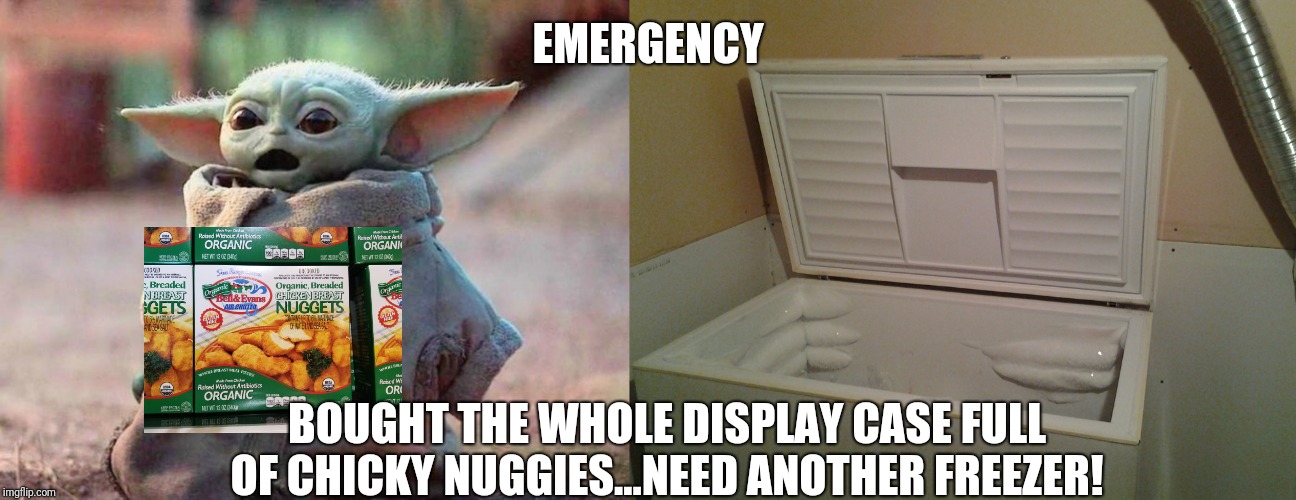 EMERGENCY; BOUGHT THE WHOLE DISPLAY CASE FULL OF CHICKY NUGGIES...NEED ANOTHER FREEZER! | image tagged in freezer,surprised baby yoda | made w/ Imgflip meme maker