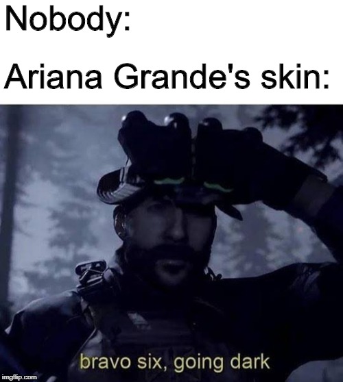 She's gonna say the N word! | Nobody:; Ariana Grande's skin: | image tagged in bravo six going dark,ariana grande,controversial | made w/ Imgflip meme maker