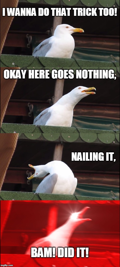 Inhaling Seagull | I WANNA DO THAT TRICK TOO! OKAY HERE GOES NOTHING, NAILING IT, BAM! DID IT! | image tagged in memes,inhaling seagull | made w/ Imgflip meme maker